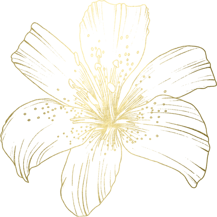 lily